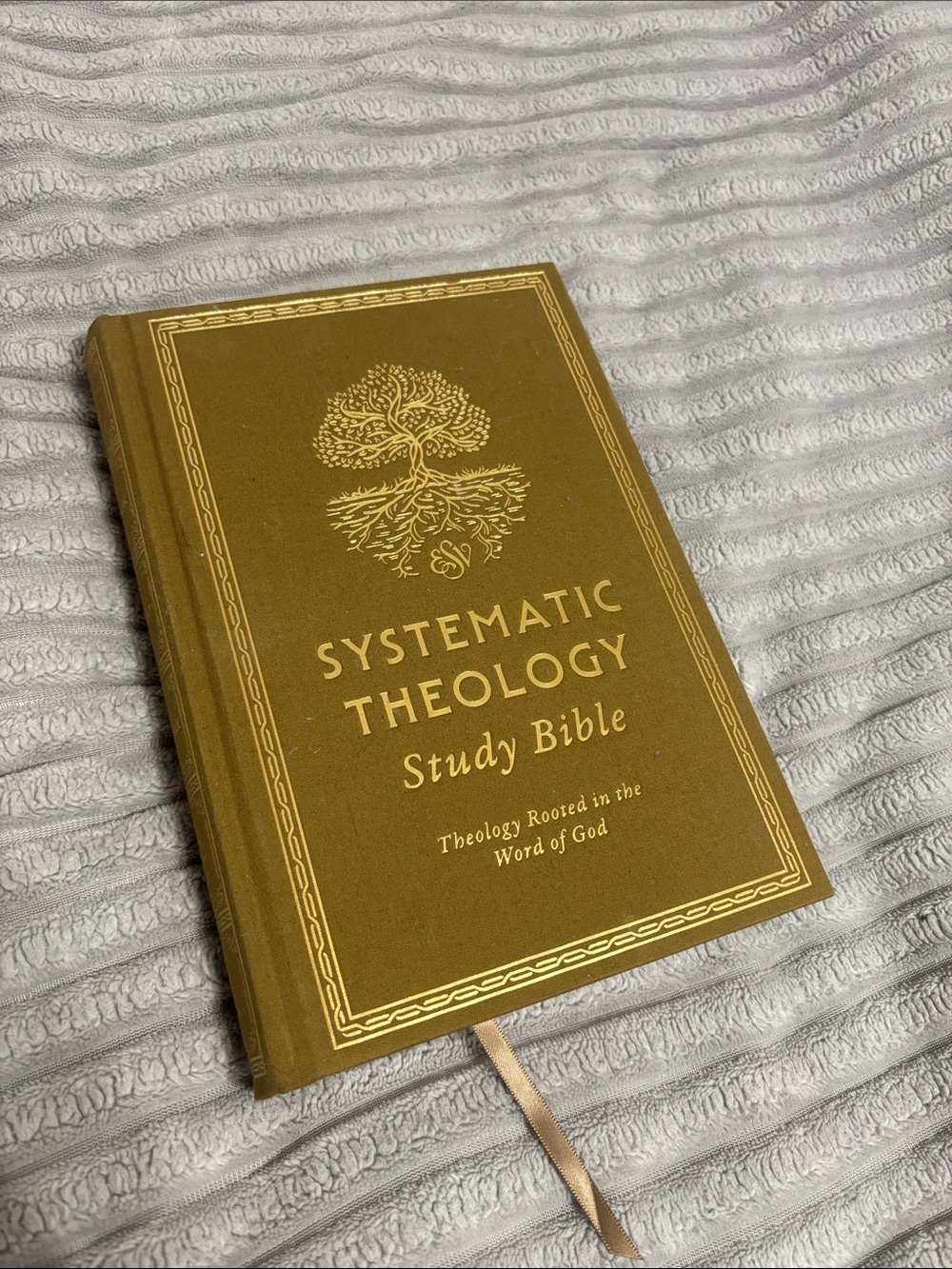 Systematic Theology Study Bible - Gold